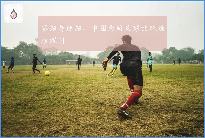 苏超与琼超，中国民间足球的双面性探讨