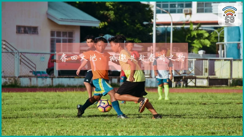 春回大地，诚邀共赴春游之约