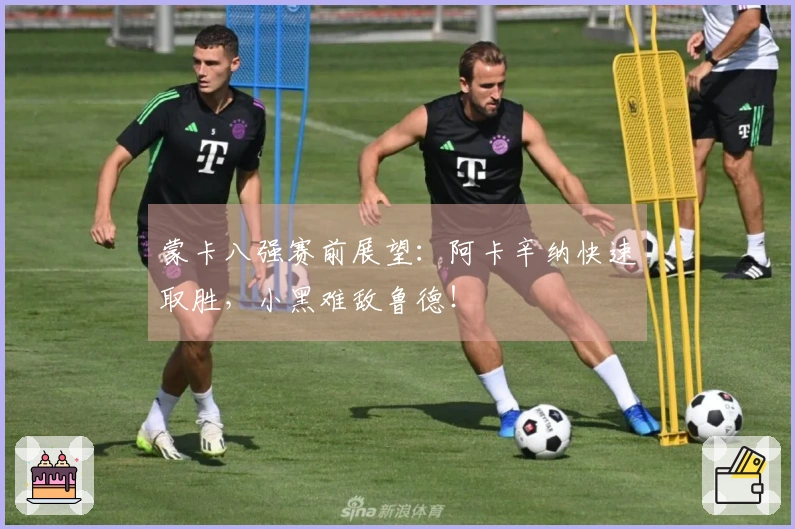 蒙卡八强赛前展望：阿卡辛纳快速取胜，小黑难敌鲁德！