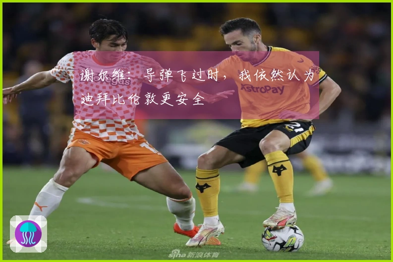 谢尔维：导弹飞过时，我依然认为迪拜比伦敦更安全